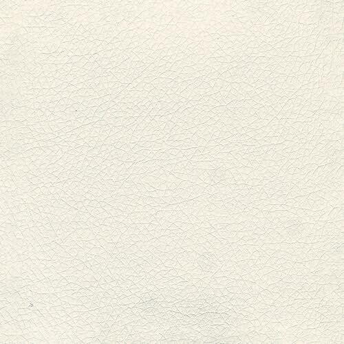 Pelle Ecologica Premium - Bianco